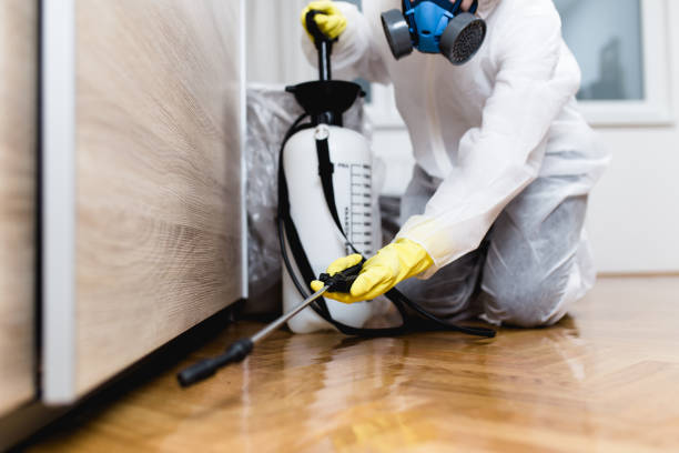 Best Pest Prevention Services  in Goulding, FL