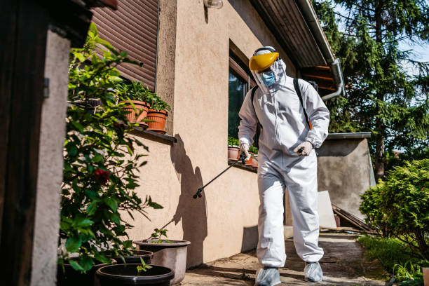 Best Termite Control Services  in Goulding, FL