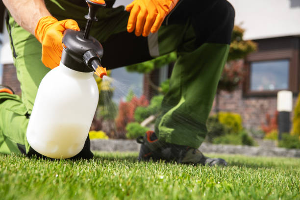 Pest Prevention Services in Goulding, FL