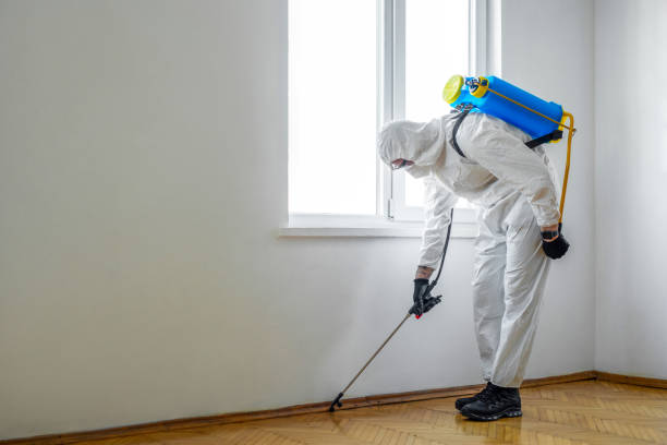 Best Pest Removal Services  in Goulding, FL