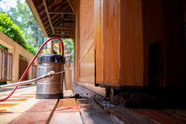 Best Affordable Pest Control Services  in Goulding, FL
