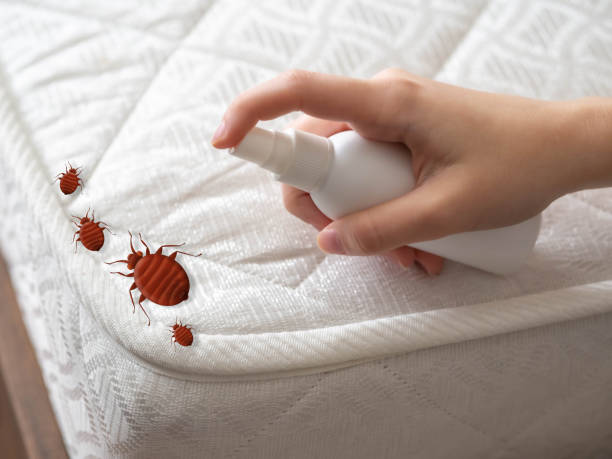 Goulding, FL Pest Control Company