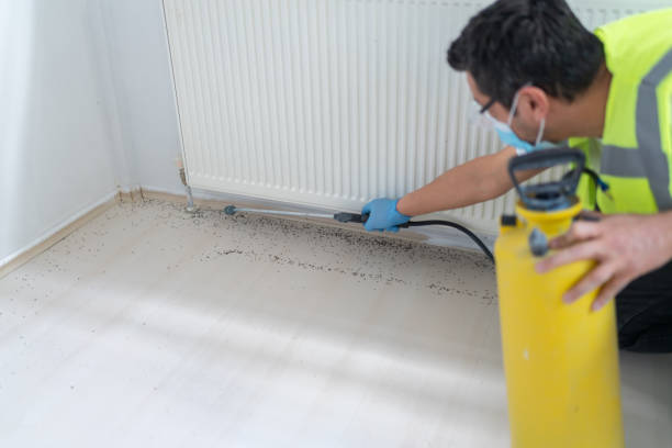 Best Cockroach Control Services  in Goulding, FL